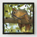 Buscar funny relojes de pared Cute