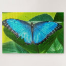 Buscar flores de la naturaleza puzzles Para él
