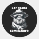 Buscar comandante pegatinas Divertido