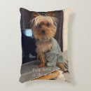 Buscar yorkie cojines Divertido