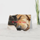 Buscar perrito lindo tarjetas Para todos