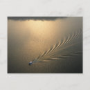 Buscar canal de panamá postales Barco