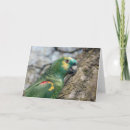 Buscar amazonas tarjetas Naturaleza