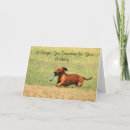 Buscar funny dachshund tarjetas Perros