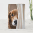 Buscar cortinas tarjetas General y unisex