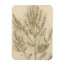 Buscar hoja imanes Botánico