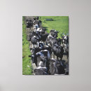 Buscar vacas lienzos Al aire libre