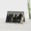 Buscar iii tarjetas Caballo