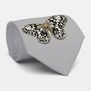 Buscar mariposa blanco y negro corbatas Naturaleza