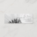 Buscar gerberas tarjetas de visita Maricas