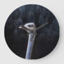 Buscar pájaro blanco relojes de pared Lindo