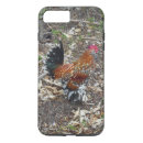 Buscar aves corral iphone fundas Gallo