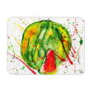 Buscar sandia imanes Naturaleza