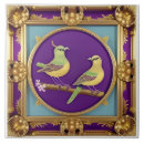 Buscar pájaro azulejos Para ella