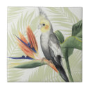 Buscar pájaro negro azulejos Hojas