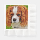 Buscar mascota servilletas Nombre