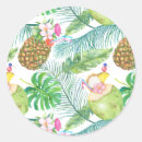 Buscar fruta tropical etiquetas Isla