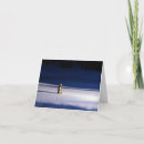 Buscar coyotes tarjetas Vida silvestre