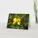 Buscar orquídeas amarillas tarjetas Para todos