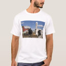 Buscar silo camisetas Wisconsin