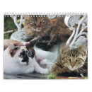 Buscar felines calendarios Felinos