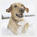 Buscar temperatura pegatinas Vertical