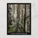 Buscar pinar postales Invierno