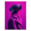 Buscar sunglass posters Animal