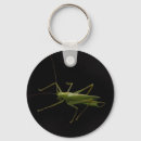 Buscar saltamontes llaveros Naturaleza