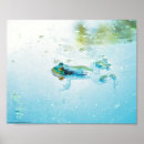 Buscar rana verde posters Agua
