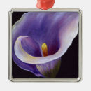 Buscar lily adornos Calla