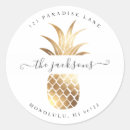 Buscar pineapple pegatinas Acuarela