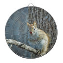 Buscar ardillas dianas Roedor