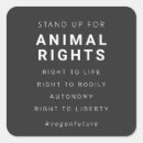 Buscar las derechas pegatinas Vegano