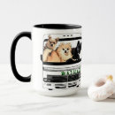Buscar perro pomeranian tazas Perrito