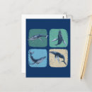 Buscar ballenas de observación postales Mamífero marino