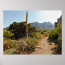 Buscar yuca posters Naturaleza