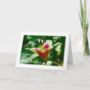 Buscar contrabando tarjetas Fotografía