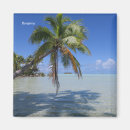 Buscar polinesia francesa imanes Palmera