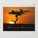 Buscar african postales Puesta de sol