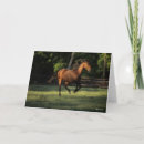 Buscar andaluz tarjetas Caballo