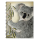 Buscar koala cuadernos Bebé