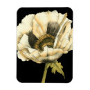 Buscar fondo imanes Floral