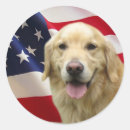 Buscar goldie postales Golden retriever