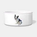 Buscar fauna mascotas Perro