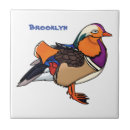 Buscar pato azulejos Aves acuáticas
