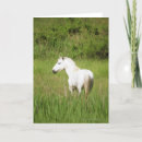 Buscar imágenes de caballos tarjetas Naturaleza