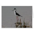 Buscar zancos postales Zanco negro necked