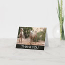 Buscar ovejas divertidas tarjetas Fotografía