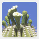 Buscar sonora pegatinas Planta
